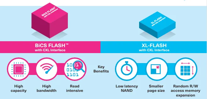 Nand Flash and CXL