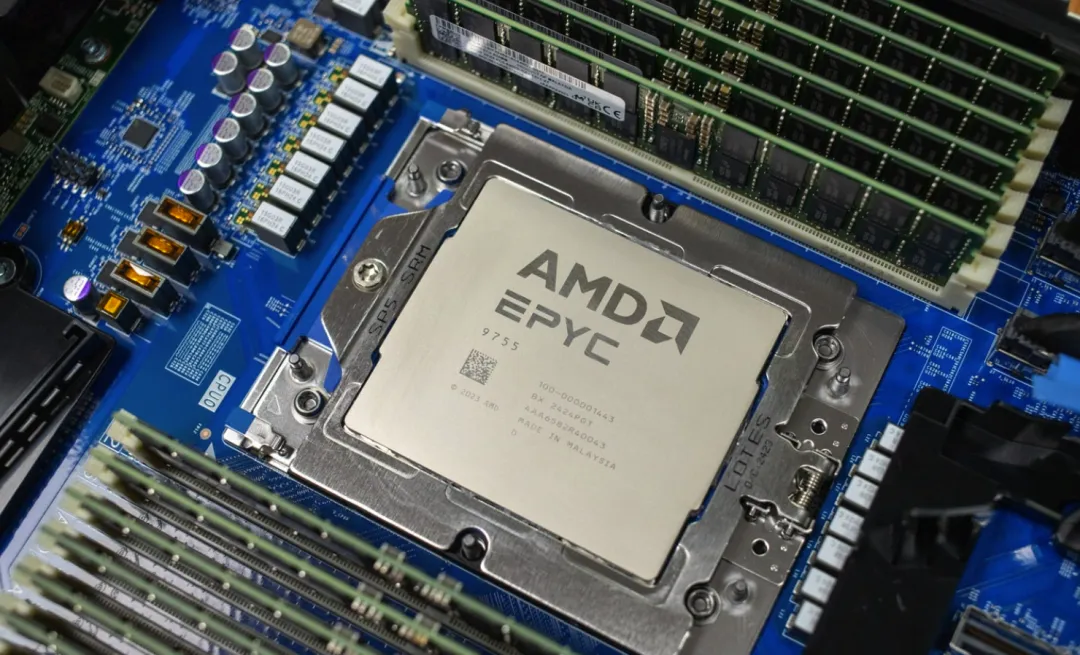 AMD Market Share