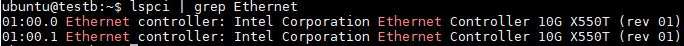 Intel X550 10Gbase-T Dual Port lspci