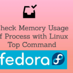 Understand Memory Usage With Top
