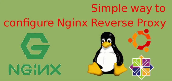 Simple guide on How to setup Nginx Reverse Proxy