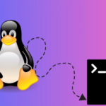 linux-shell